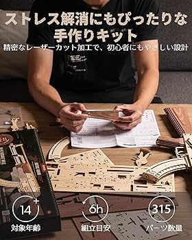 Amazon.co.jp: Robotime 立体パズル 木製 3dパズル クラフト diy